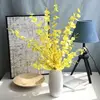 Fiore di orchidea giallo a 5 rami