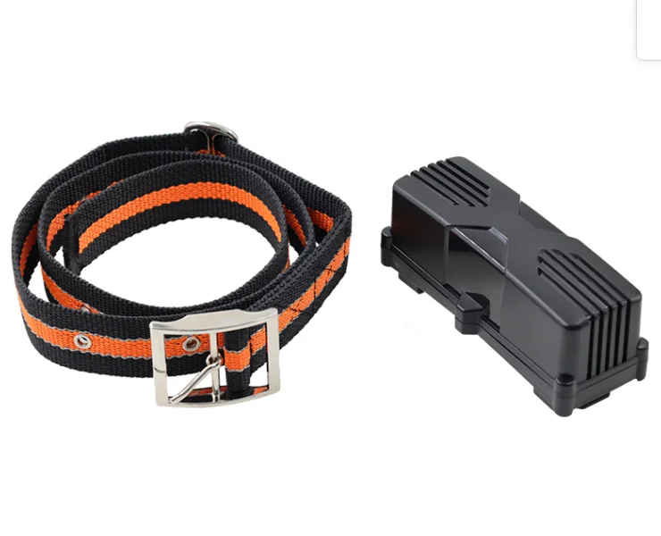 LoRaWAN cattle tracker livestock tracking device for livestock sheep cow camels and horses