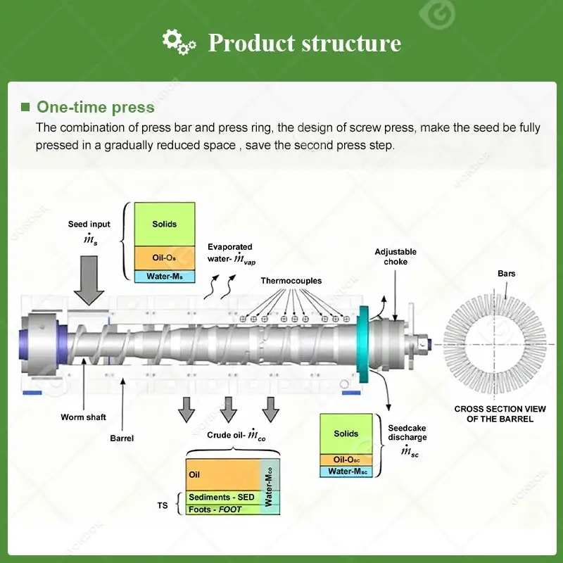 Coconut Palm Fruit Kernel Peanut China 6yl-130 Zx-105 Oil Expeller