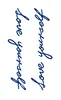 GZS-006