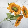 Fiore sole 04