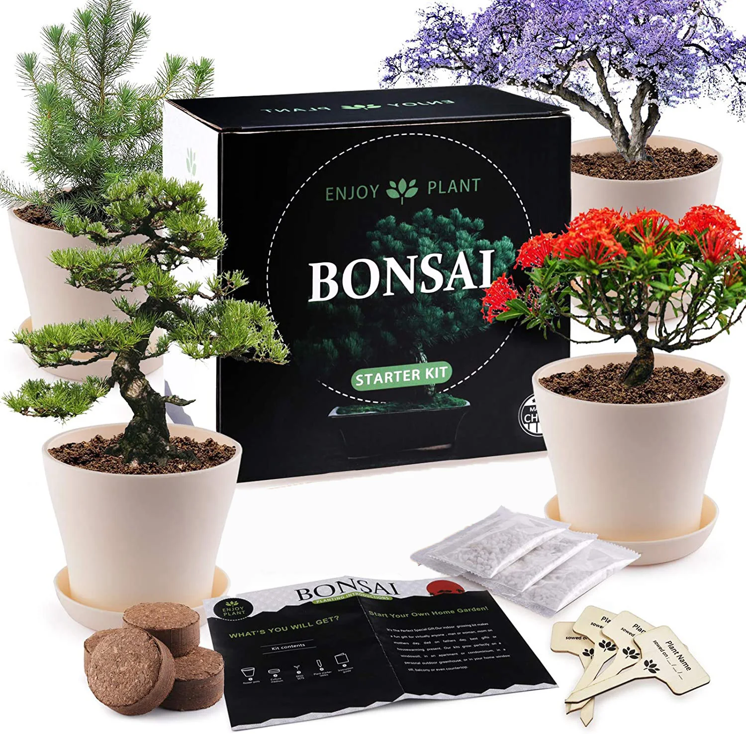 Mydays Indoor Bonsai Tree Kit Bonsai Tree Starter Plant Kit Beginner ...