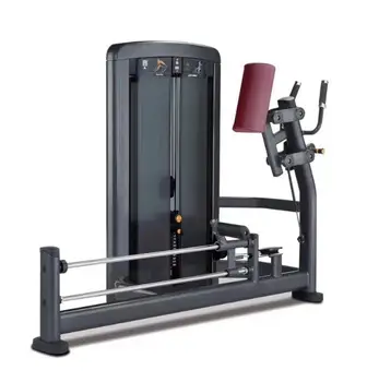 Hot Sale Factory Pin Loaded Machine Bodybuilding Commercial Gym Equipment Hip Machine For Home