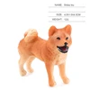 Shiba inu