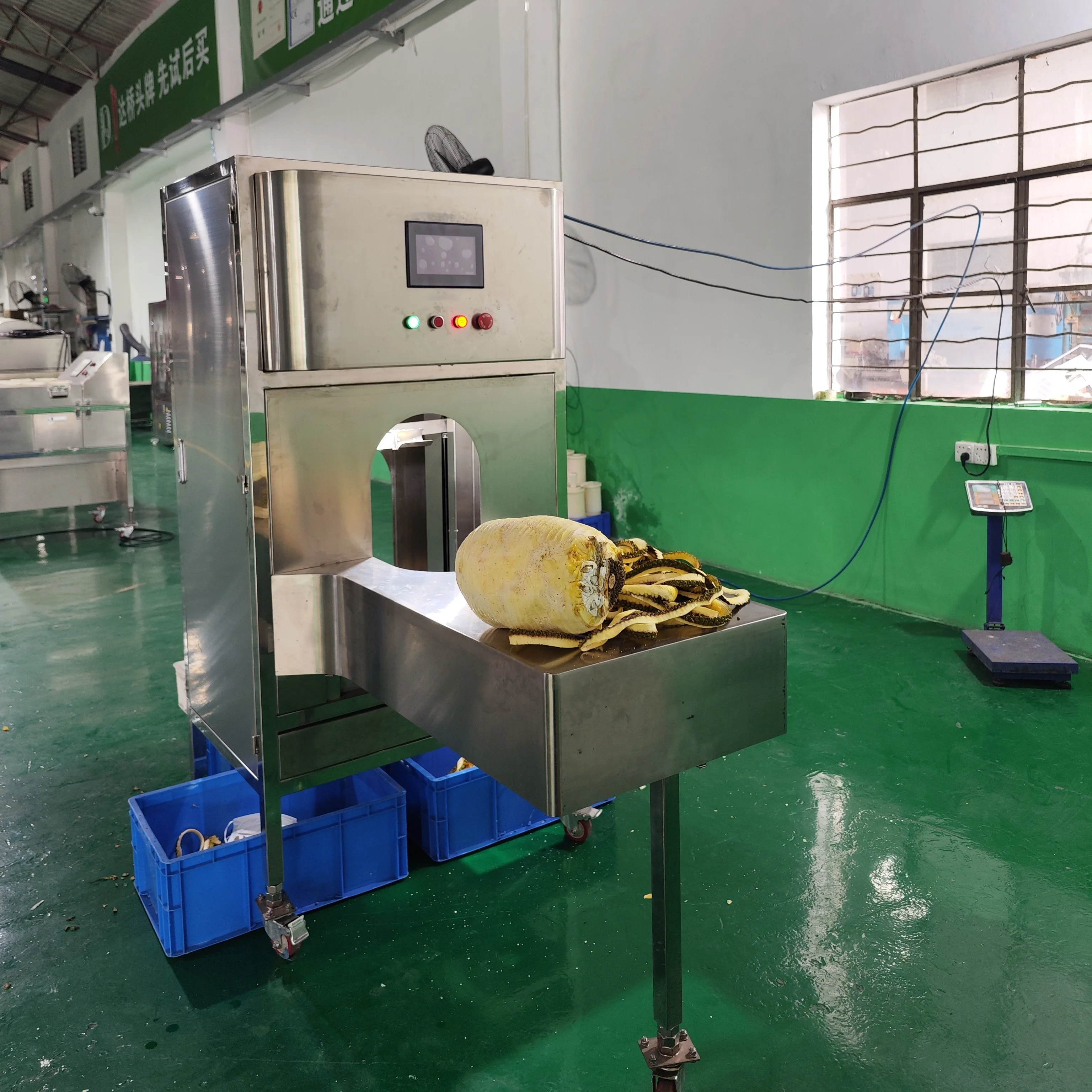Daqiao Industrial Intelligent Jackfruit Peeling Machine Commercial Jackfruit Processing Line
