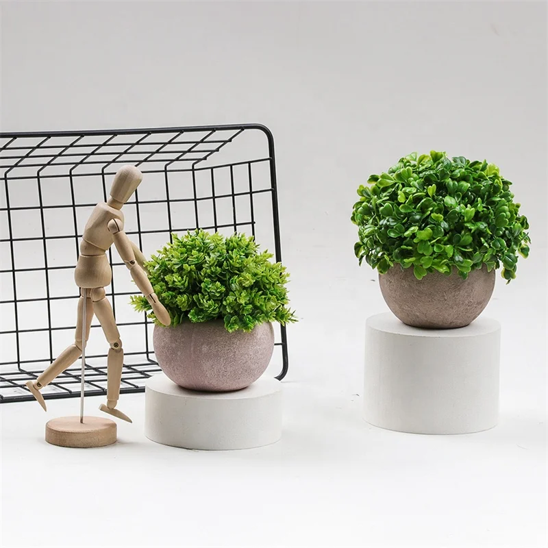 pflanztpfe transparent Pflanztopf transparent 6cm  heavenly HOYA