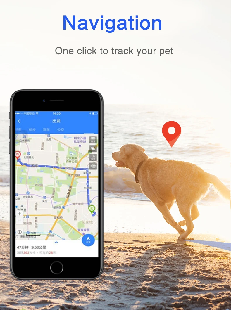 Smart Gps 4g 2g Pet Tracker Portable Gps Global Positioning Real Time ...
