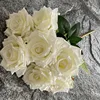 #5 bianco latte