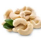 Fresh Cashew Nuts Cashew Nuts W320 W240 Export Cashew Nuts From Vietnam