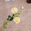 สีแชมเปญ