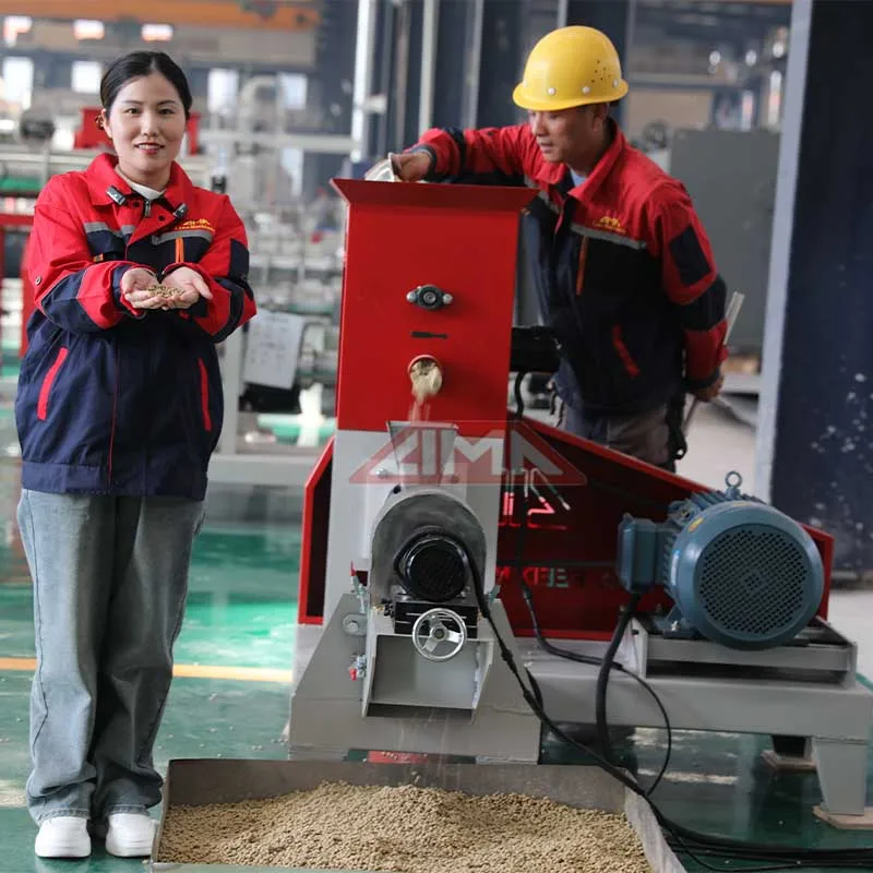 LIMA Factory Direct Sale Floating Feed Pellet Machine for Catfish Talapia Pet Automatic Small Floating Fish Feed Making Extruder