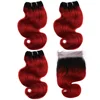 T1B-Red