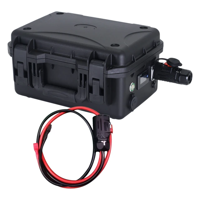 Rechargeable High Discharge Rate 12V Deep Cycle Lithium Battery 12V 100Ah 200 Ah 60Ah 20Ah 460Ah Lifepo4 Battery Power Station