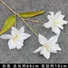 White three-pronged lily branch