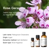 Geranium (Egypt) 10ml
