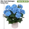 50cm(1.6ft) Blue Silky Touch Hydrangea Potted Plant