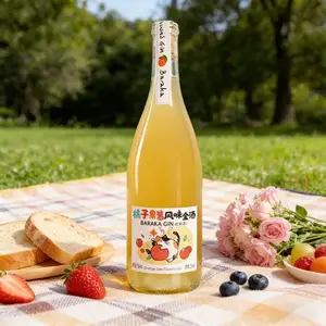 15% ABV Orange Jam Gin Liqueur Flavor Lovers Authentic Fine Gin Smooth Vibrant 750ml Bottle Wholesale Orders Bars Restaurants