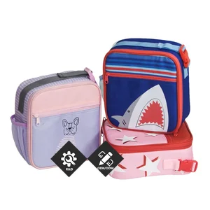 Hot Sale New Material Popular Cartoon Character 10 Inch Lancheira Escolar Children School Lunch Box for Kids