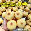 colorful Potato