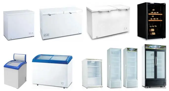329L SAA SASO Total No Frost Design OEM Domestic Fridge Refrigerator with LED Display