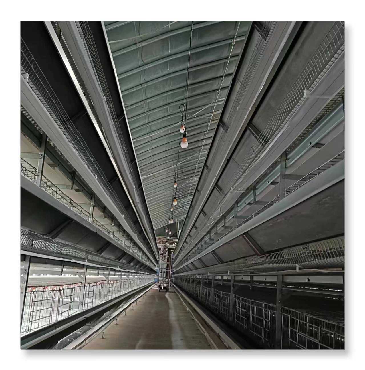 Modern Design Automatic Poultry Farming House H Type Battery Cage Chicken Farm for Egg Layer