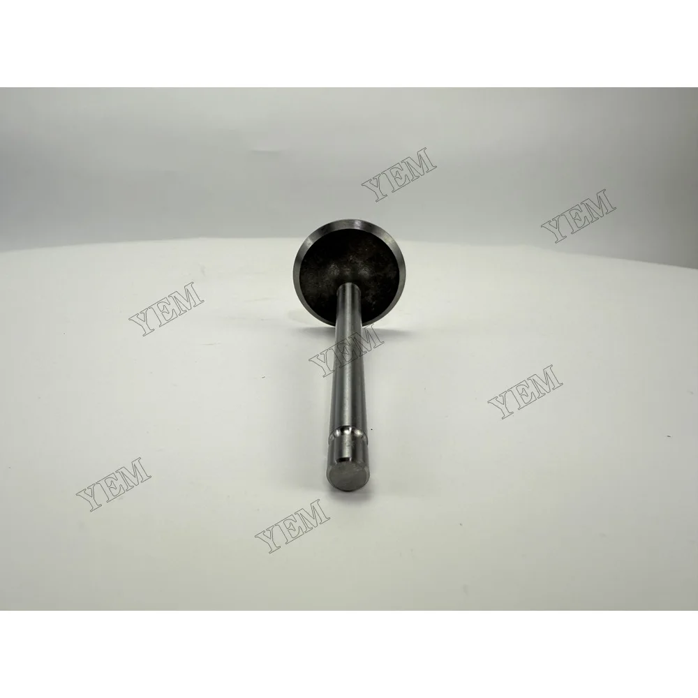 Intake Valve for Deutz CA498-12 Engine Spare Parts 4