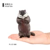 998 Gris Marmotte
