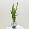 White, gray, and yellow-edged snake plant bundle (4 stems)
