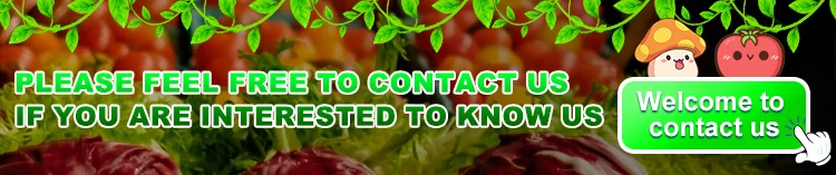 product fully automatic new vegetable cutter efficiently slicing vegetables into various shapes sizes and ingredients-3