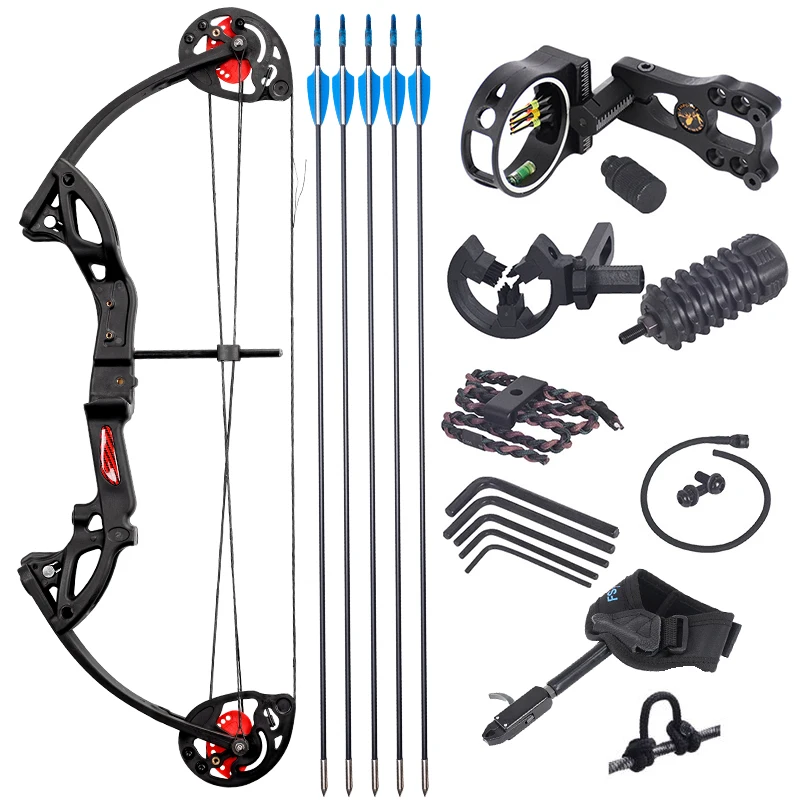 Professional Wholesale Archery Shooting Compound Bow And Arrows Set For ...