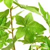 verde chiaro
