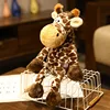 Nc giraffa