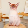 Burmese cat