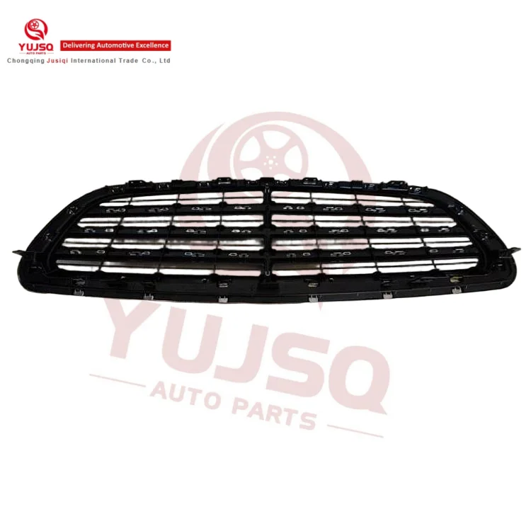 OEM A2138808702 Car Grille for Mercedes Benz W213 2017-2020 with 1 Year Warranty and ABS Material