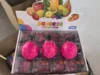Dragon Fruit