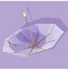 Parapluie à colle dorée - Iris violet - Housse en tissu + sac OPP