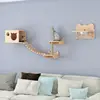 Paquete 3