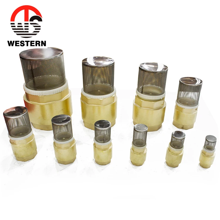 4 Inch China Check Valve Spring Vertical One Way Brass Foot Valve Foot Valve Price for Water Pump