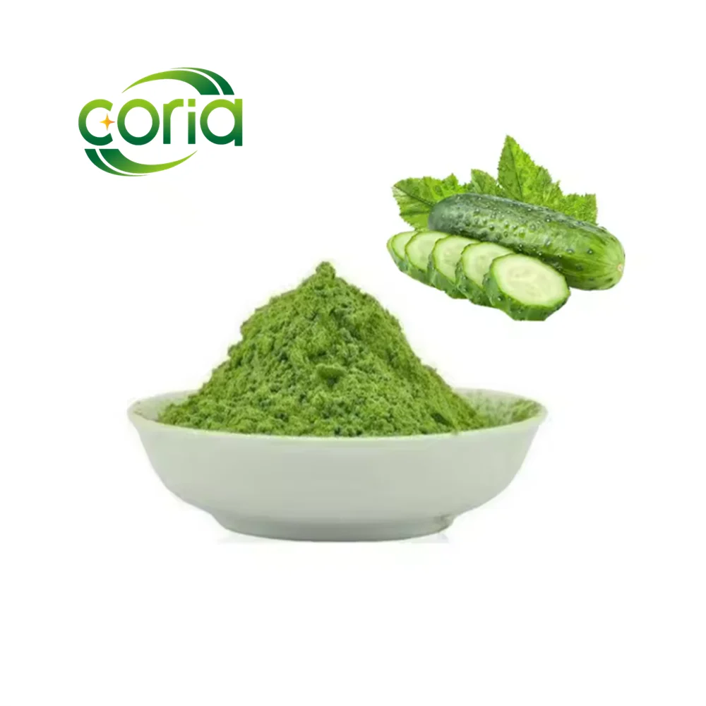 Wholesale Cucumber Powder 100 Pure Cucumber Extract Cucumber Juice