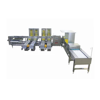 Automatic Metal Chicken Egg Sorting Equipment Small Medium-sized Poultry Egg Grading Equipment