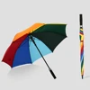 Arco IRIS