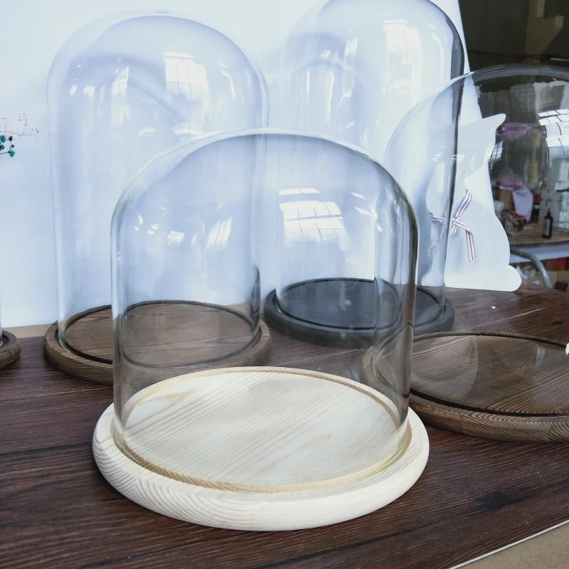 Glaskuppel Mit Holzsockel Zur Präsentation Konservierte Rose Große Glaskuppel Cloche Für Sammlerstücke
