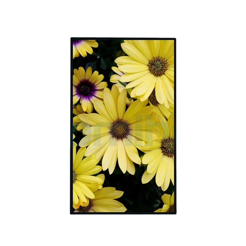 Selling Wall Mounted Digital Signage LCD Menu Board Display Aluminum Indoor Ultra Narrow 43 Inch Touch Kiosk Touchscreen Kiosk