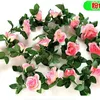 16 rosas de color rosa claro