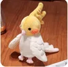 Yellow-mysterious wind-hand puppet