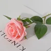 Coral Pink