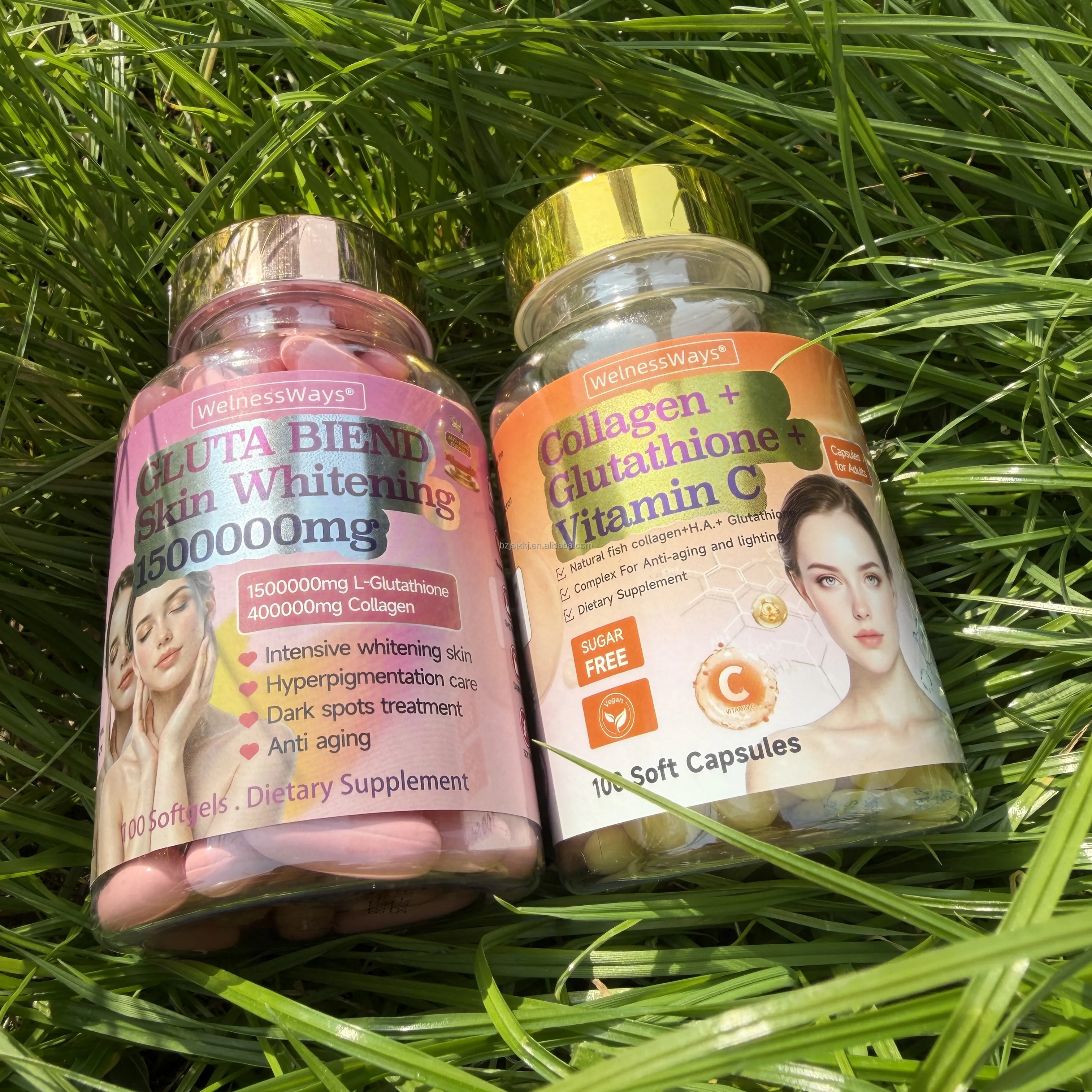 can you take l carnitine and l carnosine together Carnosine versus carnitine can you take l carnitine and l carnosine together Carnosine versus carnitine