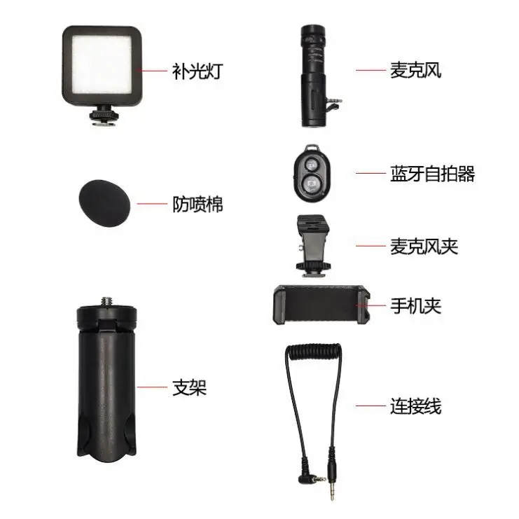 Professional Vlogger Kit Vlogging Equipment Kit Video Recording Microphone LED Fill Light Tripod Stand Kit for Smartphone