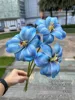 3 teste smiley tulipano blu