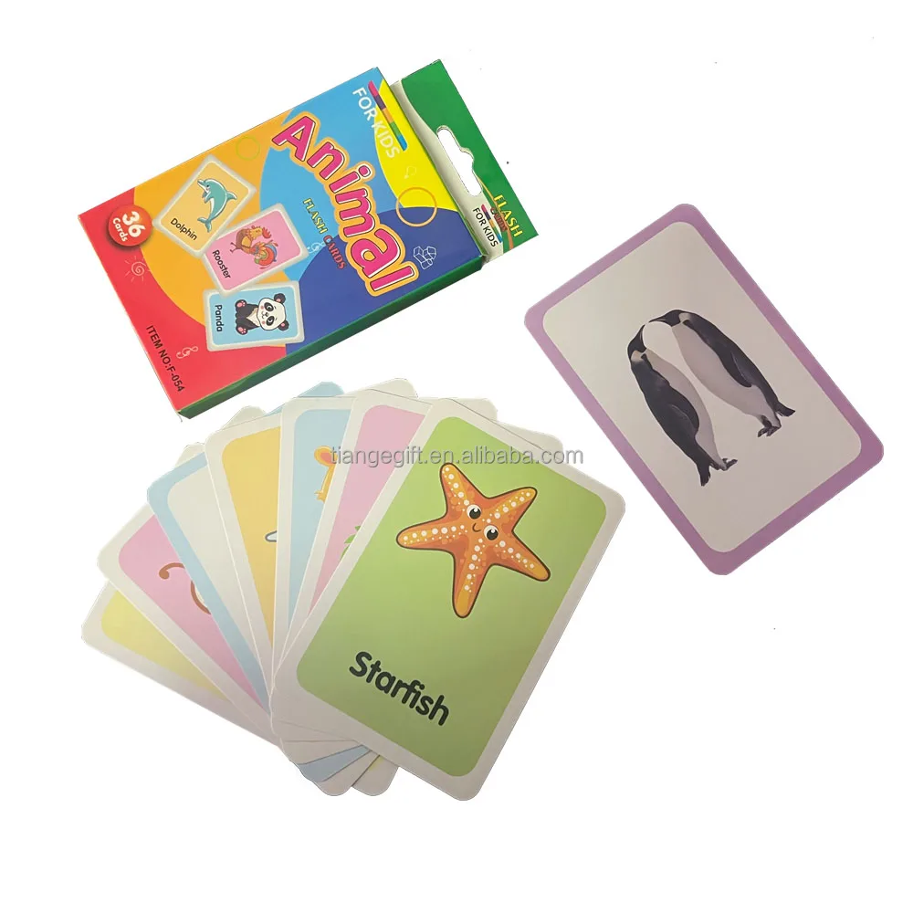 Kids Flash Cards Custom Printing Learning Toys Flash Cards For Kids